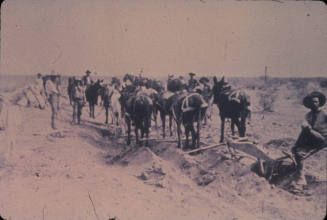 Digging Irrigation Ditch Near Tempe