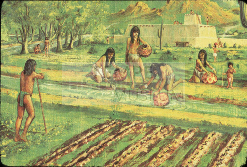 Hohokam Water Canal Uses (Drawing)