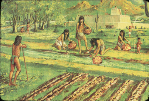 Hohokam Water Canal Uses (Drawing)