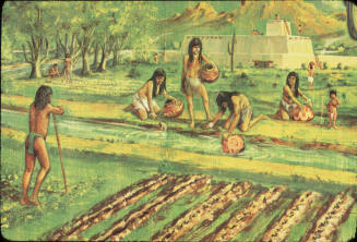 Hohokam Water Canal Uses (Drawing)