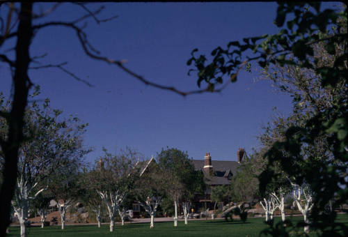 Wolf Swinkel Home-Chandler, AZ