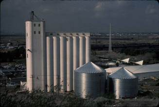 Hayden Flour Mill from Tempe Butte