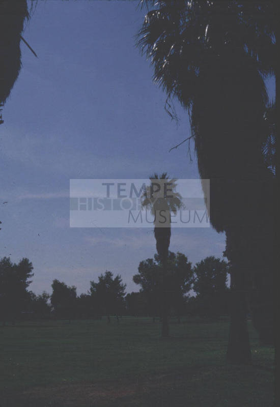 Shalimar Golf Course-Tempe, AZ