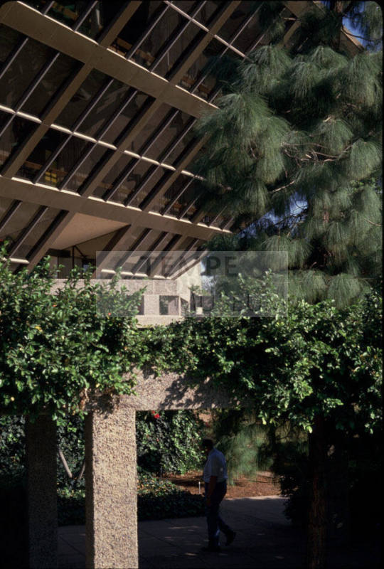 Tempe City Hall-Lower Garden Area