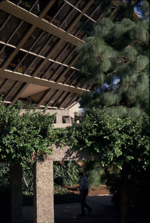 Tempe City Hall-Lower Garden Area