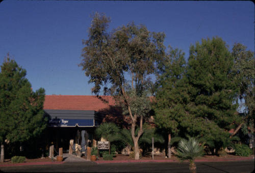Hungry Tiger Restaurant-5350 S Lakeshore