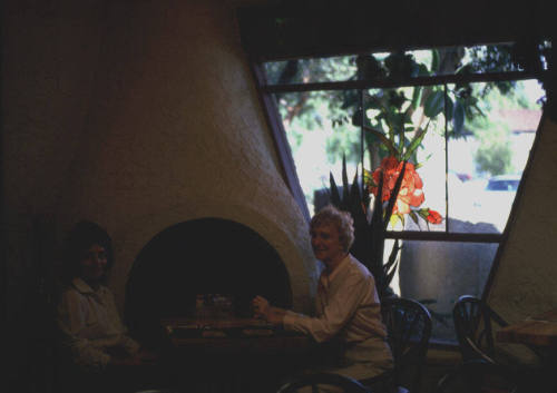 Good Earth Restaurant-801 S. Mill Ave