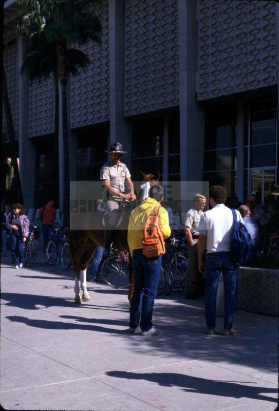 Arizona State University Mounted Security Police- Tempe