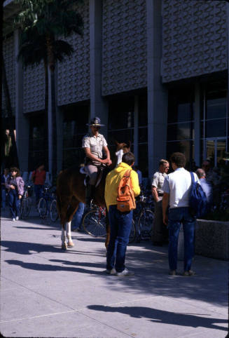 Arizona State University Mounted Security Police- Tempe