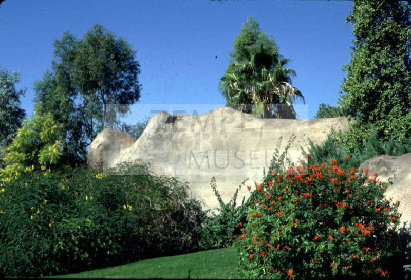 Phoenix Zoo Landscaping