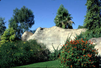 Phoenix Zoo Landscaping