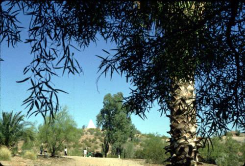 Hunt's Burial Pyramid- Phoenix Zoo