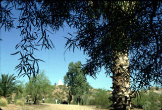 Hunt's Burial Pyramid- Phoenix Zoo