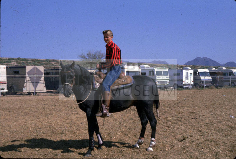 All Arabian Horse Show- Scottsdale, AZ