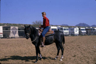 All Arabian Horse Show- Scottsdale, AZ