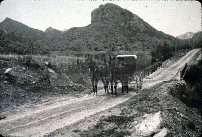 Horse and Buggy on the Apache Trail- AZ
