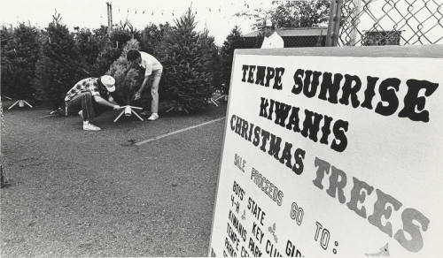 Tempe Sunrise Kiwanis Club Christmas Tree Lot