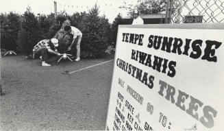 Tempe Sunrise Kiwanis Club Christmas Tree Lot