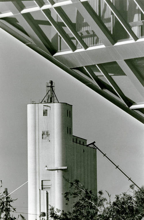 View of Hayden Flour Mill from City Hall