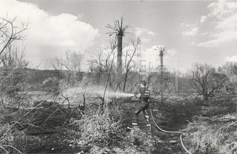Fireman Vic Spracale Hoses Burning Brush