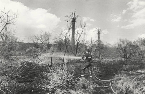 Fireman Vic Spracale Hoses Burning Brush
