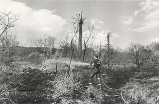 Fireman Vic Spracale Hoses Burning Brush