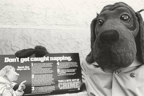 Tempe Police Department Mascot McGruff