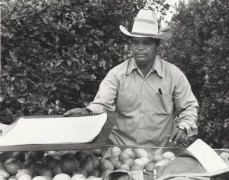 Jesus Guevara Records Lemon Bags Packed