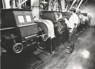 Steve Baker Checks Early Milling Process - Hayden Flour Mill