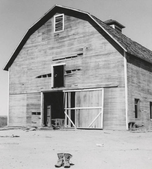 Tempe Police Department Horse Barn
