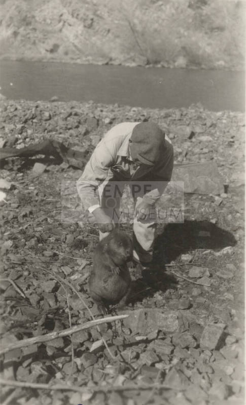 Photo- Man holding a beaver at the Roosevelt Dam