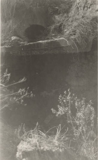 Photo- Roosevelt Power Canal, 9E culvert discharge end