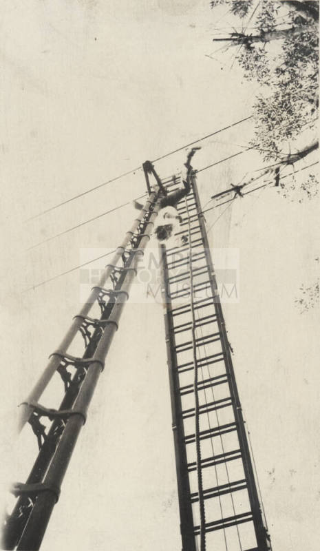 Photo- dead man hanging from power lines after suicide