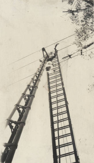 Photo- dead man hanging from power lines after suicide