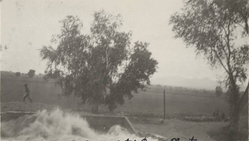 Photo-South Consolidated Power Plant