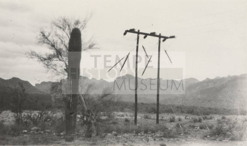Photo- Stewart Mountain Power Lines