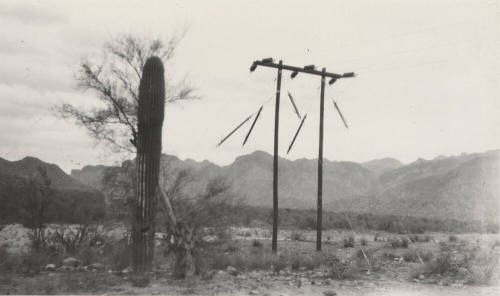 Photo- Stewart Mountain Power Lines
