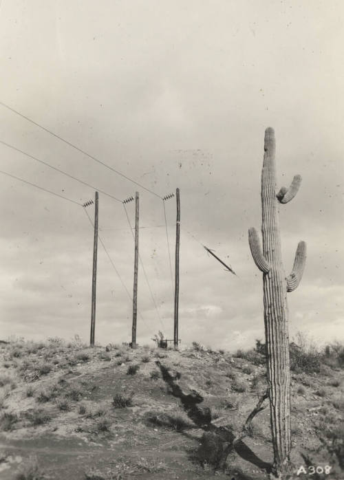 Photo- Stewart Mountain Power Lines