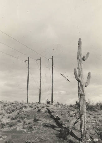 Photo- Stewart Mountain Power Lines