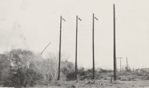 Stewart Mountain power poles
