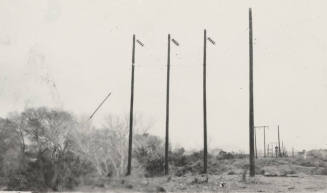 Stewart Mountain power poles
