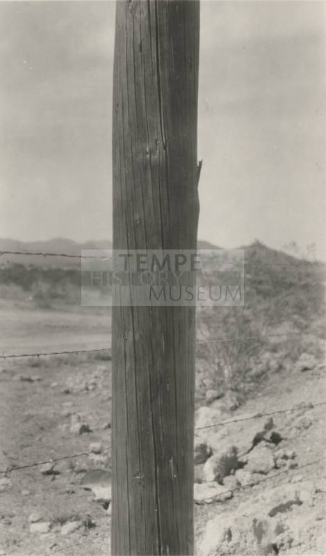 Photo- wooden power line pole