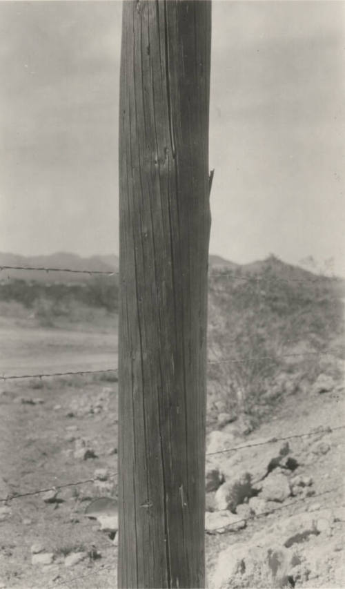 Photo- wooden power line pole