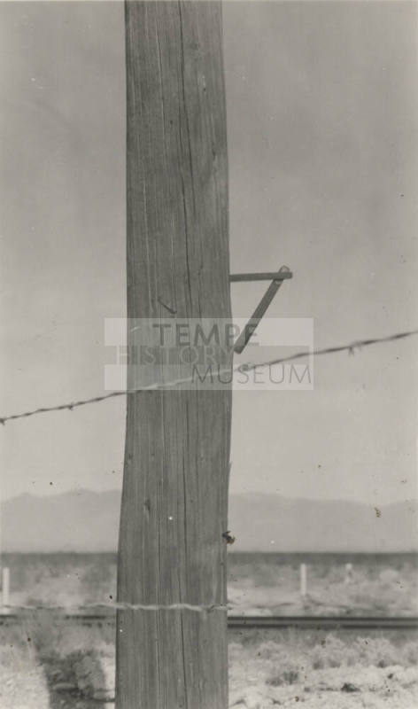 Photo- wooden power line pole