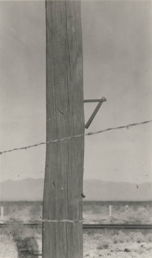 Photo- wooden power line pole