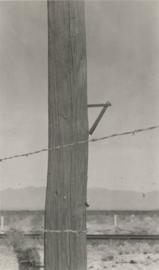 Photo- wooden power line pole