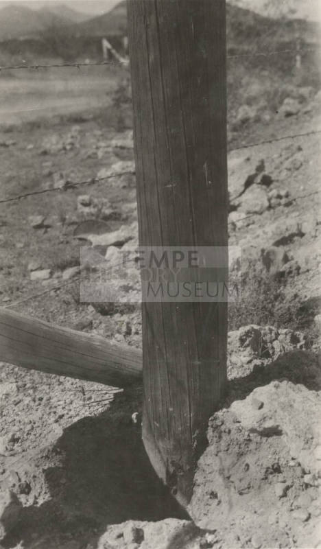 Photo- two wooden power line poles