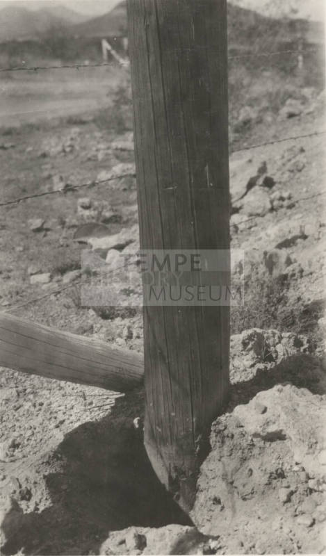 Photo- two wooden power line poles
