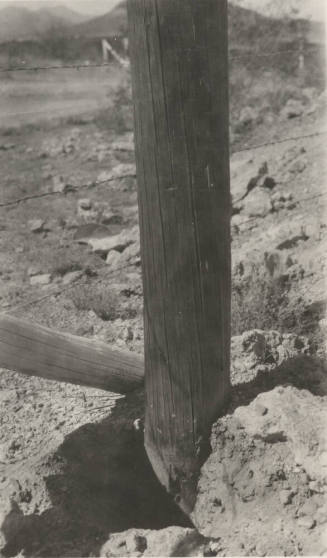Photo- two wooden power line poles