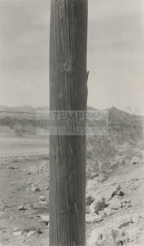 Photo- wooden power line pole
